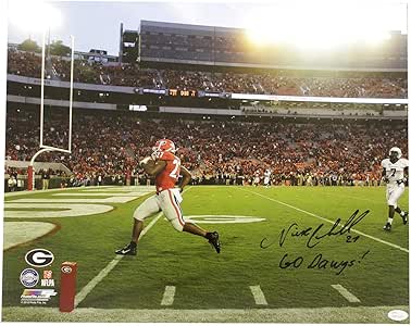Nick Chubb Georgia Bulldogs Autographed Signed 16x20 Photo Goal Line Go