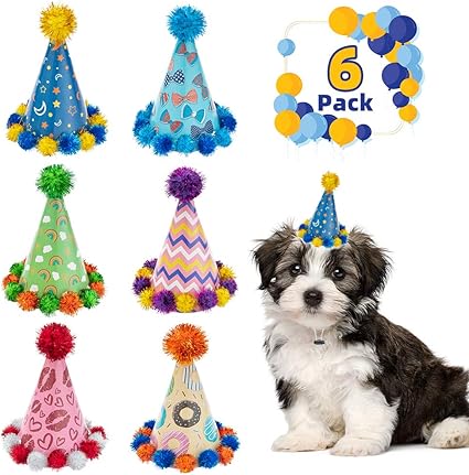 Dog party accessories Clearance