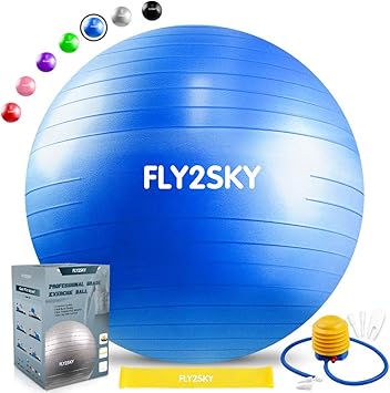 FLY2SKY Exercise Ball with Resistance Bands & Quick Pump, Fitness Ball Yoga Ball Chairs for Office Home Anti-Burst Heavy Duty Balance Stability Ball ...