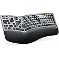 ProtoArc Full Size Ergo Keyboard with Wrist Rest