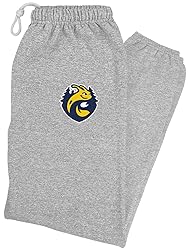 LOGOVISION University of California-Santa Cruz
