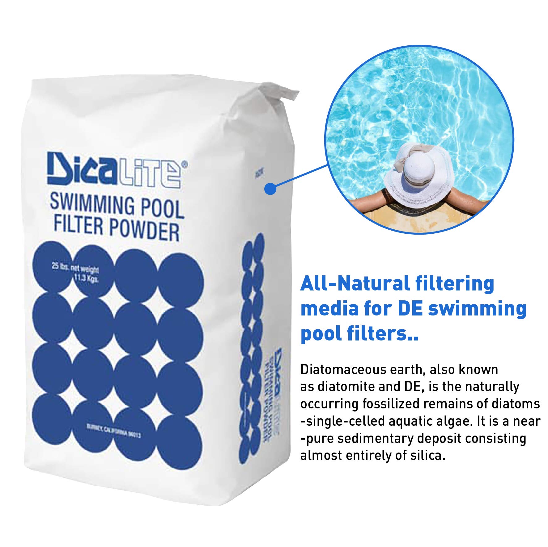 Dicalite Minerals DE25BOX 25 LBS Diatomaceous Earth Pool Filter D.E