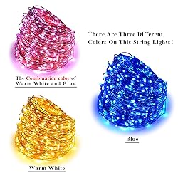 ErChen Dual-Color LED String Lights, 165 FT 500