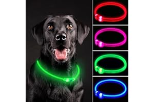 NOVKIN LED Dog Collar, Rechargeable Light Up Dog Collars,IP67 Waterproof Dog Lights for Night Walking，Adjustable, Reusable Safety Necklace for Small Medium Large Dogs (Green)