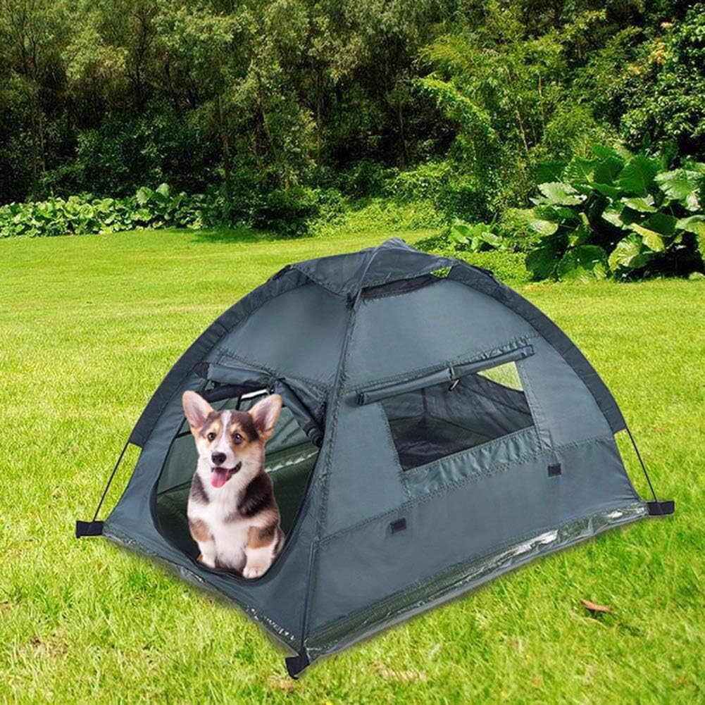 small dog beach tent