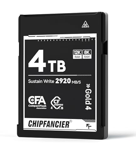 Amazon.com: Angelbird AV PRO SE CFexpress B v4 4 TB