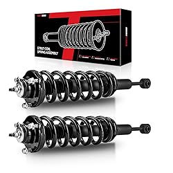 Torchbeam Front Struts and Shocks Complete Assembly