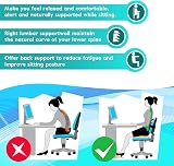 m zimoon Mesh Back Support Lumbar Cushion with Elastic Strap view 4