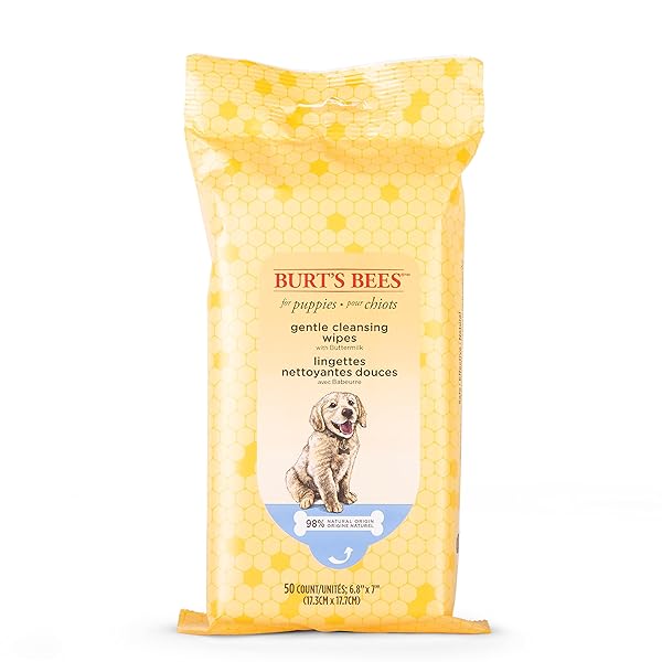 BURT’S BEES FOR PETS GENTLE CLEANSING PUPPY WIPES WITH BUTTERMILK, 98% NATURAL ORIGIN FORMULAS, HYPOALLERGENIC DOG WIPES CLEANING, DOG CLEANING WIPES, DOG WIPES FOR PAWS AND BUTT, 50CT