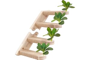 Meowoou Cat Wall Shelves,Modern & Durable 4 Steps Sisal Rope Stairs & Perch for Cat Climbing Wall Systems with Leaves Right Step C