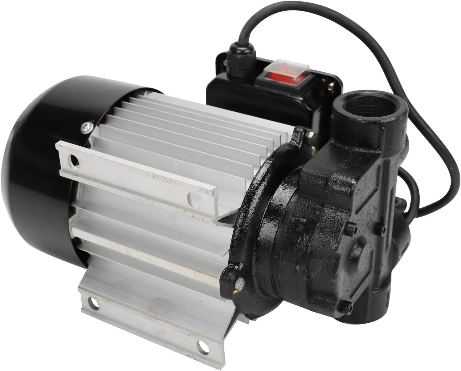 BLACKHORSE-RACING Self Priming 110v Ac 16GPM 60L/min Oil Transfer Pump Fuel Diesel Kerosene Biodiesel Pumps: Automotive