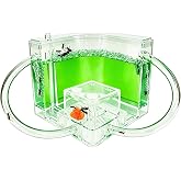 EXBEPE Ant Farm for Kids Safety and Environment Gel Ant Colony Ecosystem Terrarium, Ant Habitat Science Learning Kit(with No Ant)&hellip;