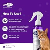 Leucillin Natural Antiseptic Spray 150ml for Pets Dogs Cats All Animals view 7