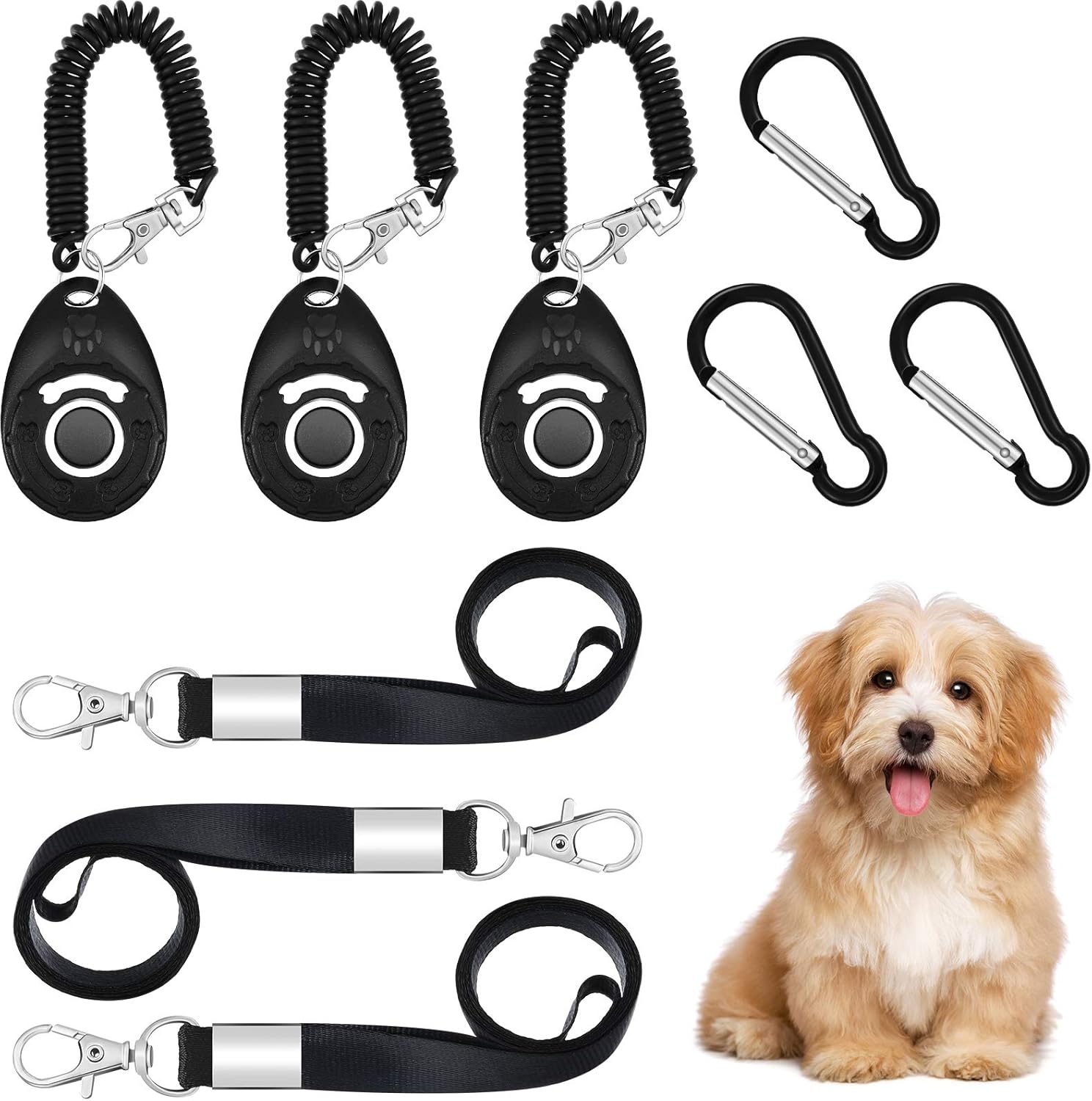 lanyard for dog training