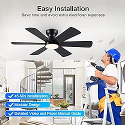 46 inch Ceiling Fans with Lights, Black Ceiling Fan