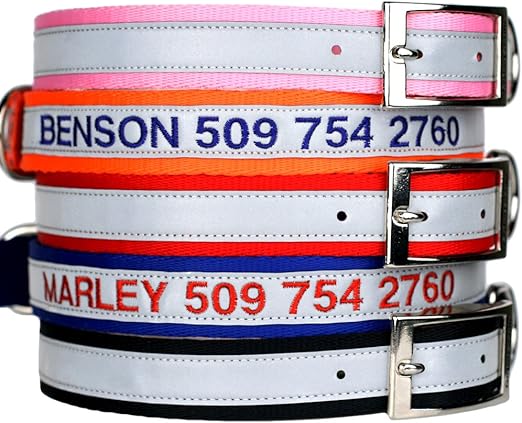 embroidered dog collars amazon