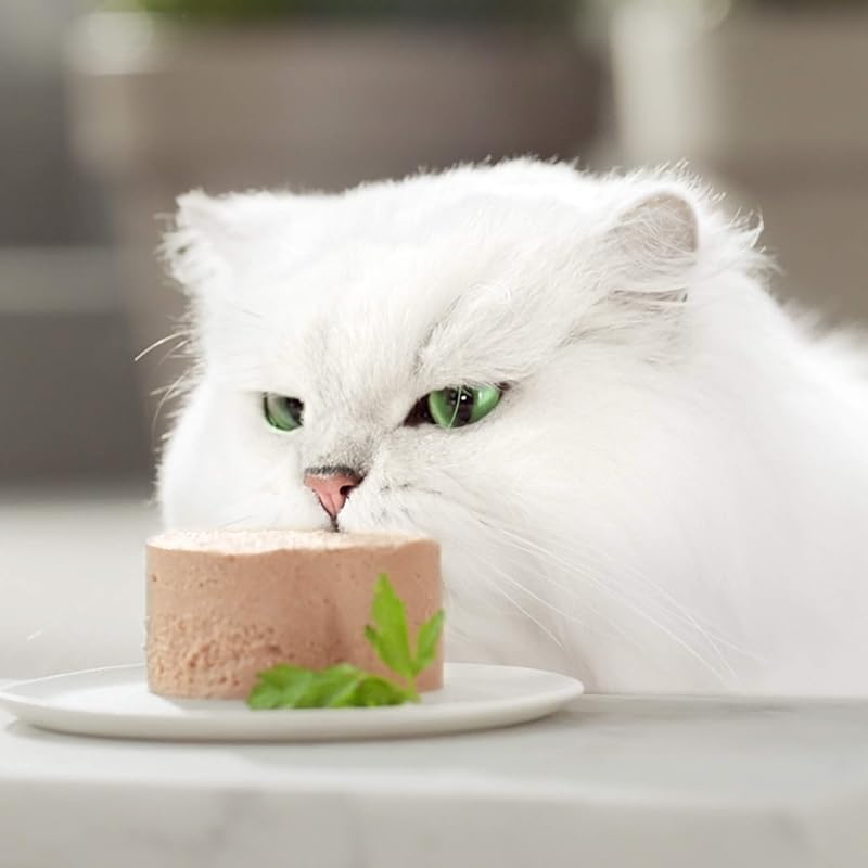 Gold Mousse, Nassfutter für Katzen, Erwachsene, Meeresfischmousse, 24 Dosen à 85 g