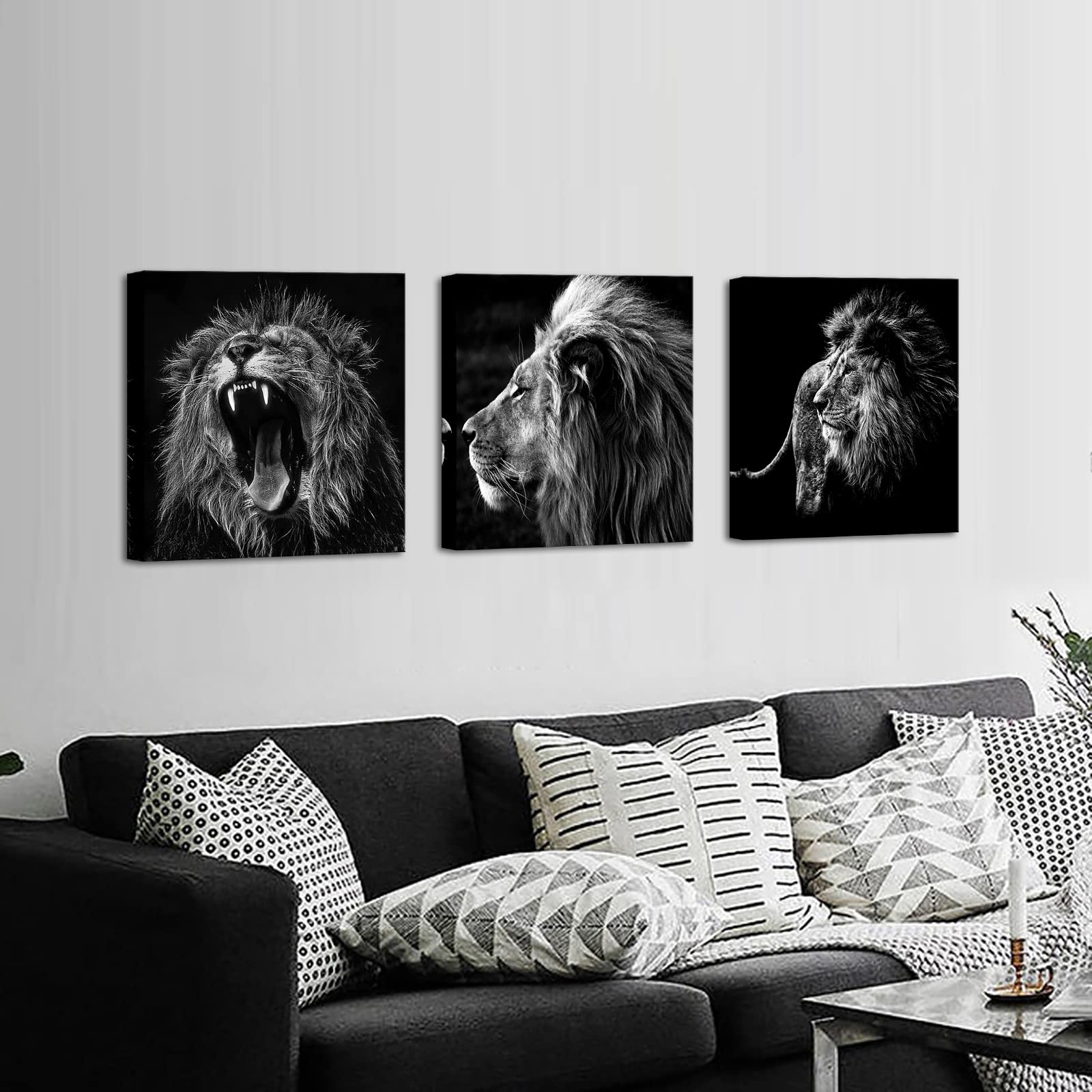 https://images-na.ssl-images-amazon.com/images/I/71nb5tPnlrL.jpg