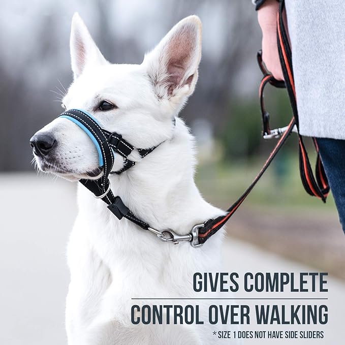 dog head halter amazon