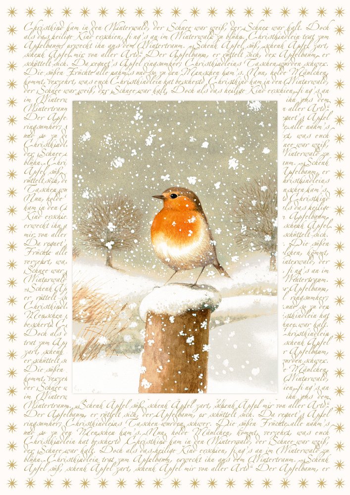 Coppenrath Christmas Robin Big Traditional German Advent Calendar 41 cm Wide x 46 cm Glitter Gold foil and Hanging Ribbon