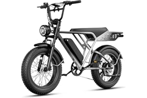 Jasion RetroVolt Pro Electric Bike for Adults, [2000W Peak Motor & 38 MPH & 90-Miles], 52V 20AH Removable Battery, Hydraulic Brakes EBike, 20'' X 4'' Fat Tire Electric Dirt Bike
