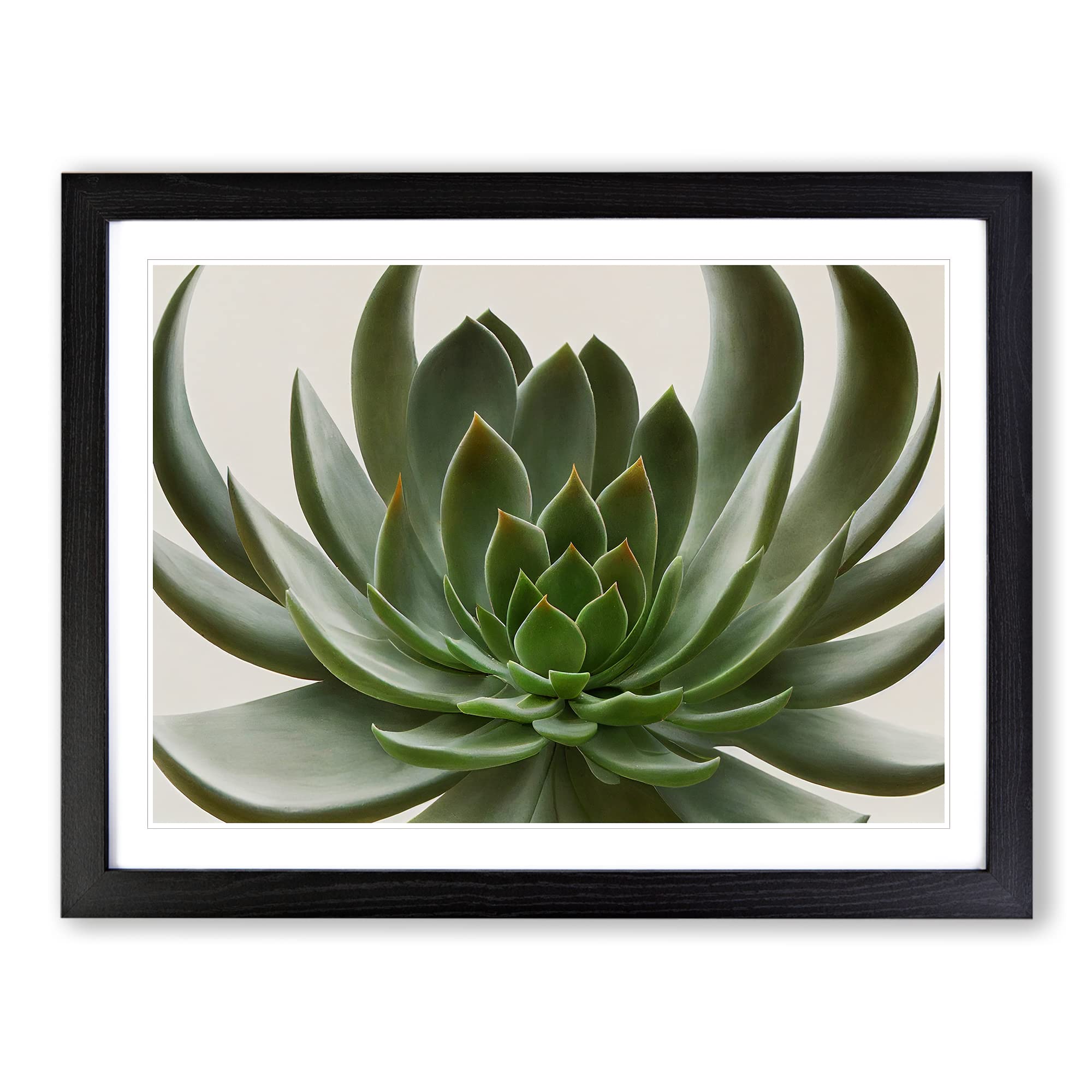Luscious Succulent Plant Framed Print | A4 Black Framed Wall Art | Ready to Hang | Modern Floral Picture | Living Room Bedroom Lounge Office