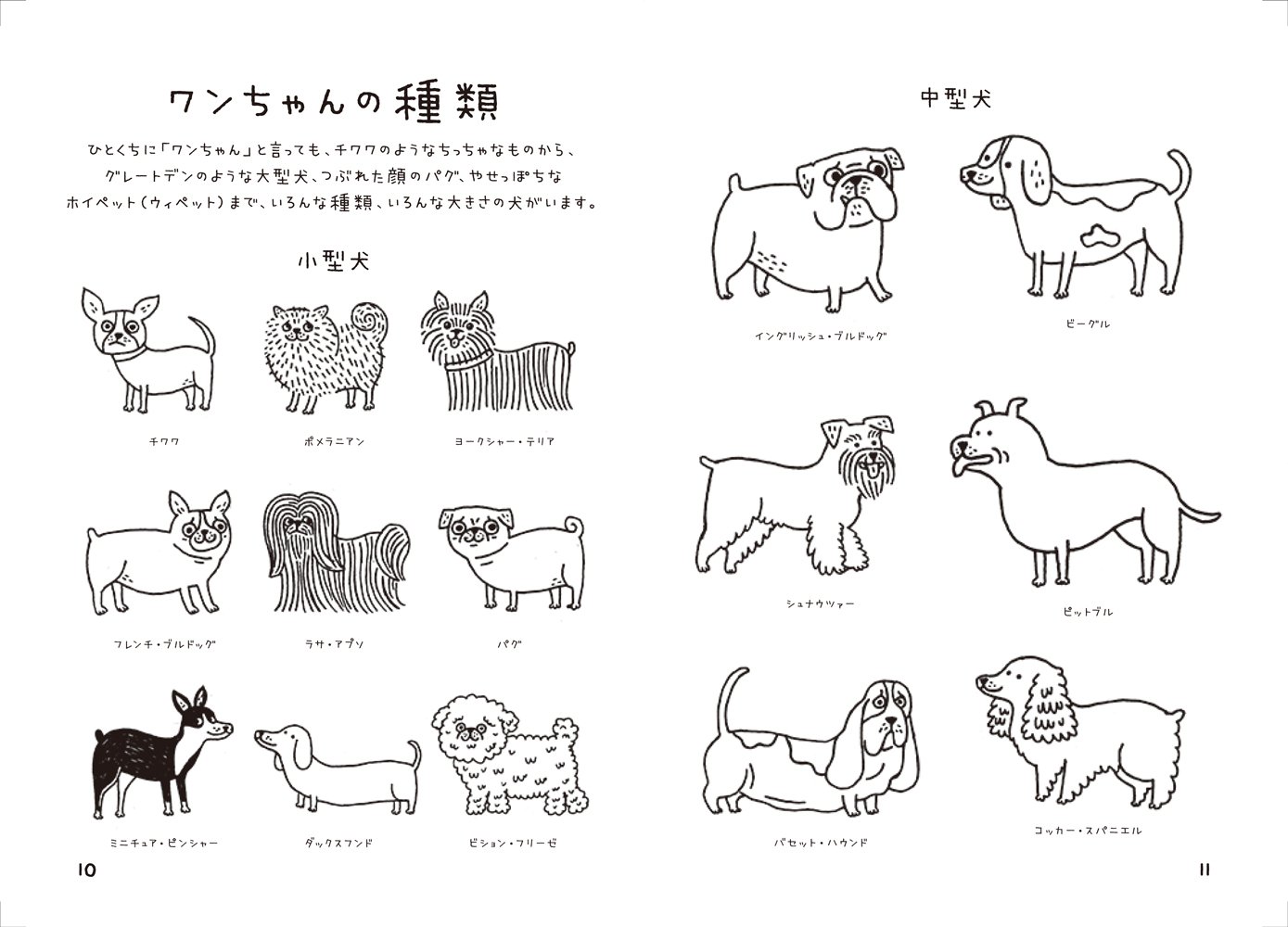 イヌのお絵かき帳 Gemma Correl 本 通販 Amazon