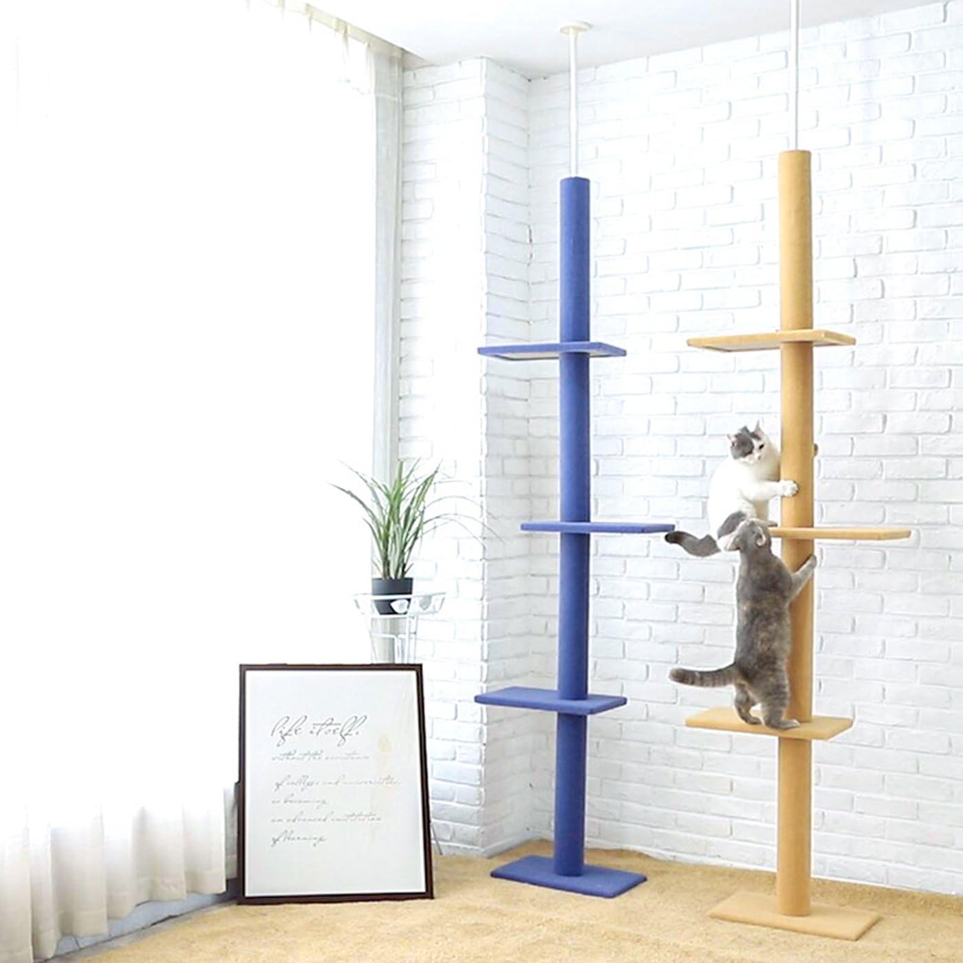 S-Lifeeling Cat Climbing Toys Tower Structures Cat Climber Tree Post Shelves Multilayer Platform Super Long Large Cat Climbing Tree Cat Tree Furniture Scratch (Purple) : Pet Supplies