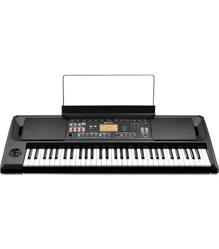 Amazon.com: Korg Digital Pianos-Home (PA300) : Musical Instruments