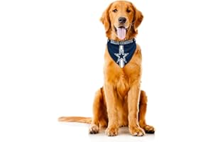 Littlearth NFL Pet Bandana - Reversible