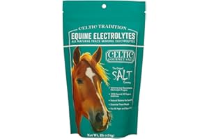 THE ORIGINAL SALT COMPANY Celtic Tradition Equine Electrolytes – Natural Mineral Salt Supplement for Horses | Replenishes Electrolytes, Supports Hydration & Recovery | 1 lb Resealable Bag