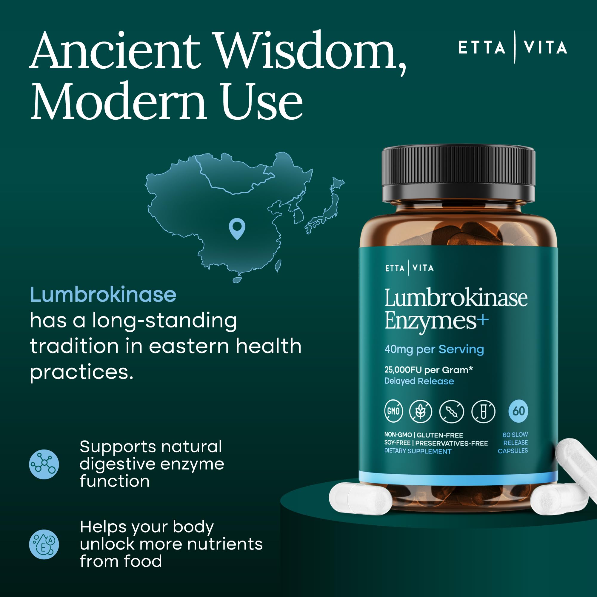 Potent Lumbrokinase Supplement 40mg/Serving (Max Activity - 800,000 Units) - Lumbrokinase Enzymes Capsules for Energy Support, Digestion, Detox, Cognition & Gut Health - Similar to Nattokinase