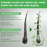 OEWWEX Rosemary Shampoo 300ml Conditioner 10.56oz Hair Care Set Dry to Oily view 4