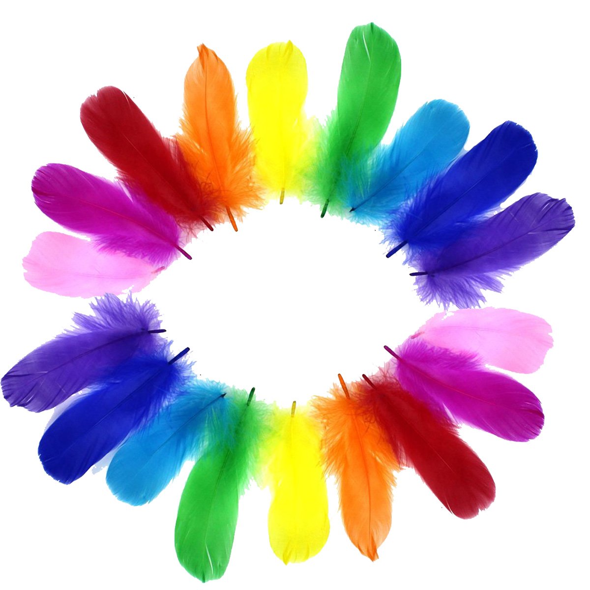 Rocita 300pcs DIY Colorful Feathers Assorted Color Craft Supplies for Arts Crafts Sewing