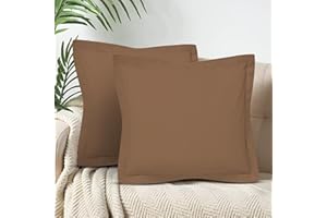 CharlottelyHues 100% Egyptian Cotton Euro Pillow Shams Set of 2 1000 Thread Count European Square Pillow Covers - Hotel Quality, Natural, Soft Bed Cushion Shams - (Euro 24''x24'', Taupe)