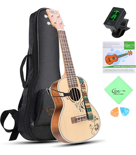 Amazon.com: Eastman VL305 Andreas Eastman Violín Intermedio