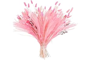 Jspupifip 97 Pcs Pink White Dried Boho Floral Arrangement Bunny Tail Grass Pampas Decor Set Natural Wheat Stems Rustic Home W