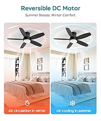 AQUBT Ceiling Fans with Lights, 42 inch Ceiling