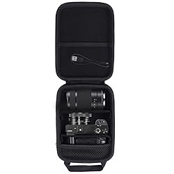 Aenllosi Hard Carrying Case Compatible with Sony