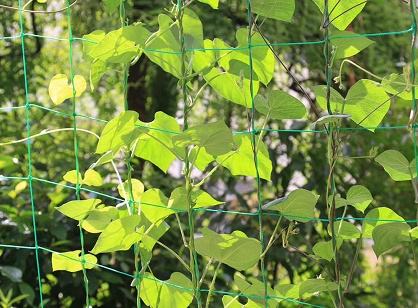 3.6x1.8m Garden Trellis Netting Pea Netting Mesh Runner Bean Netting Climbing Plant Support Net Heavy-Duty Climbing Vine Plant Grow Tent Mesh for Cucumber Tomatoes Grape Climber Vine Vegetables Frui