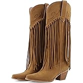 POYOIOR Fringe Knee High Cowgirl Boots for Women Embroidered Pointed Toe Chunky Block Heel Cowboy Western Tassel Boot