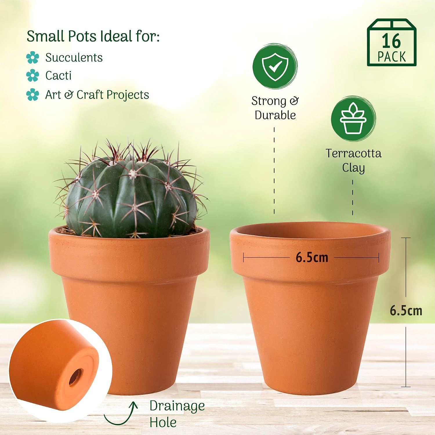 Green Thumbz Terracotta Plant Pots, 6.5cm x 16 Pack Small Plant Pots, Multi Purpose Mini Terracotta Pots for Plants Flowers - Image 3