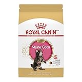 Royal Canin Maine Coon Breed Dry Kitten Food, 3 lb