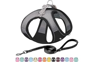AIITLE Dog Harness, No-Pull Cat Harness with a Leash, Adjustable Reflective Dog Vest, Cat Harness Escape Proof, Outdoor Walking, Running,Training for Extra Small Dogs and House Cats Black XXXS