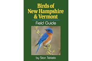 kindle best category lists