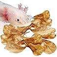 SunGrow 50 Pack Axolotl Indian Almond Leaves for Aquarium, 2-Inches, Catappa Leaf Soothes Pet’s Slime Skin, Aquarium Water Conditioner Leaves Improves Tank Water Quality, Speeds Up Recovery Process