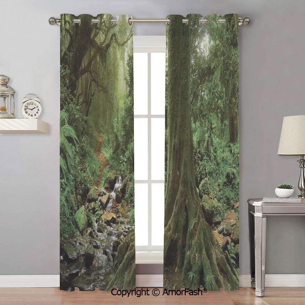 Apartment Decor White Window Sheer Curtain Panels for Living Room,Bedroom,Elegance Curtains,42x84 Inch Rain Forest Scene with River in North Forest in Early Morning Humid Fog Print