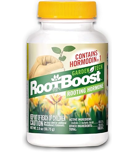 Amazon.com : Bonsaiboy Rooting Hormone Concentrate - 2 oz (60ml) : Patio,  Lawn & Garden
