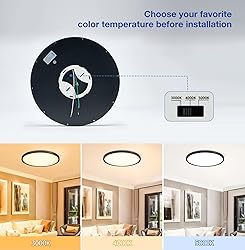 CycevSun 12 Inch Black Flush Mount Ceiling