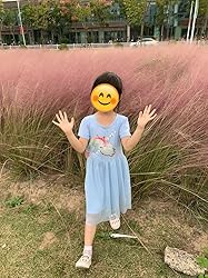 Hongshilian Toddler Girls Cotton Casual Dress